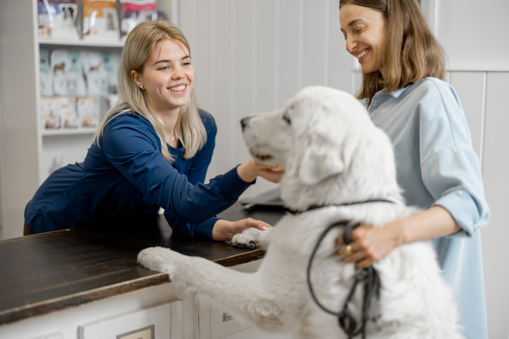 Veterinarian discussing a dog’s health with a pet owner during a veterinary consultation and wellness examination.